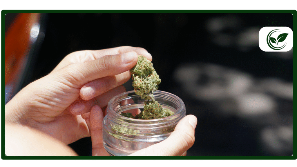 Is Weed Legal in Minnesota? A Comprehensive Guide to the Medical Marijuana Card Process