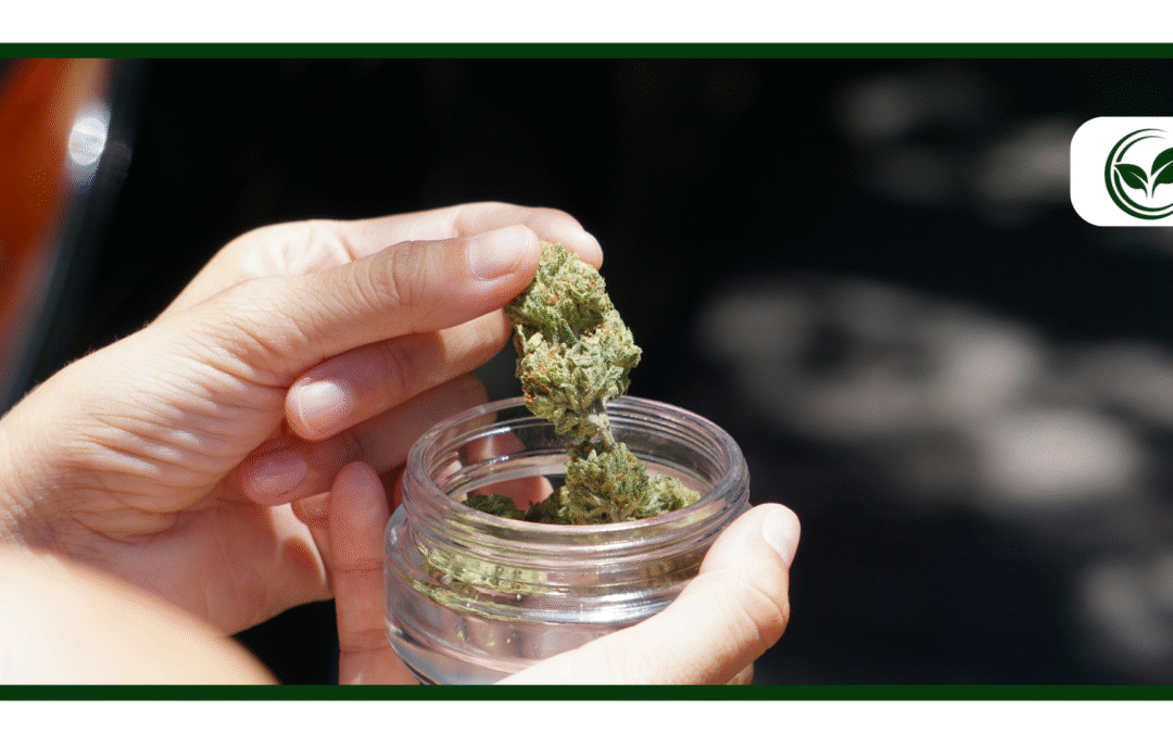 Is Weed Legal in Minnesota? A Comprehensive Guide to the Medical Marijuana Card Process