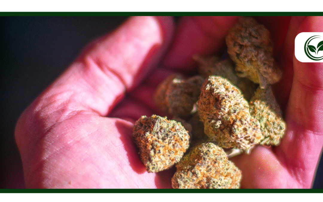 Is Weed Legal in Texas? Everything You Need to Know