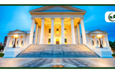 Benefits of a Medical Card in a Recreational State like Virginia