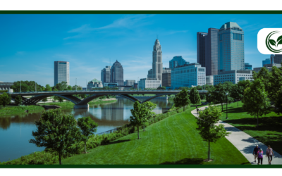 Reasons to Get a Medical Marijuana Card in a Recreational State like Ohio