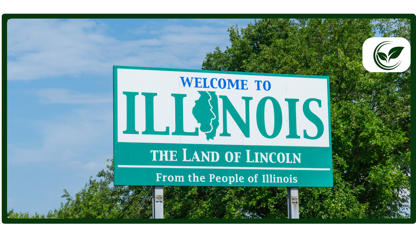 Reasons to Choose Medical Over Recreational Marijuana in Illinois