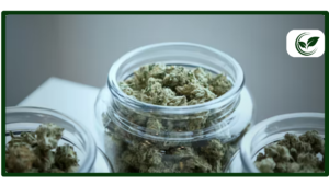 Top 30 Strongest Marijuana Strains