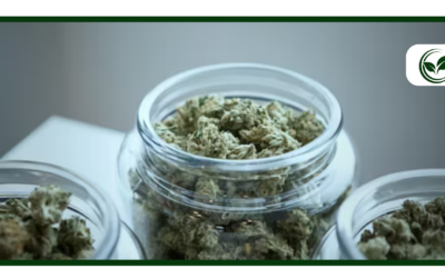 Top 30 Strongest Marijuana Strains