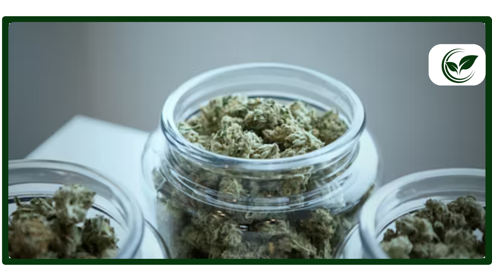 Top 30 Strongest Marijuana Strains