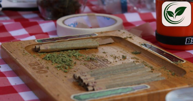 Can You Smoke Weed in Public in California