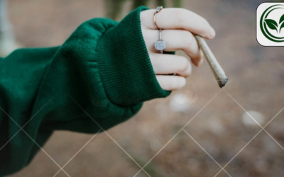 Can You Smoke Weed in Public in California