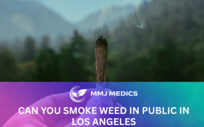 Can You Smoke Weed in Public in Los Angeles