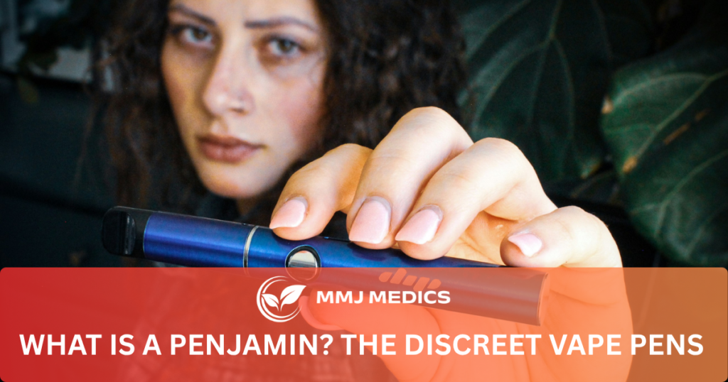 What Is a Penjamin? The Discreet Vape Pens Explained